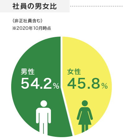 社員の男女比 男性54.1％ 女性45.9％